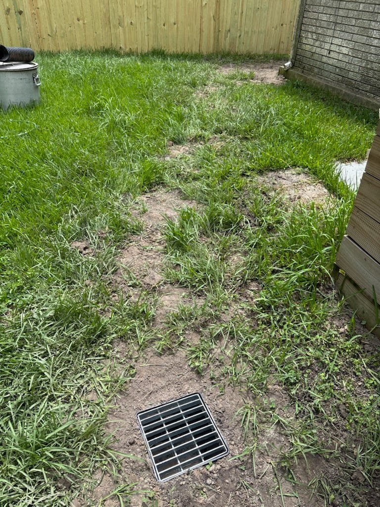 Same side yard after a yard drain was installed